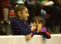 Bədii gimnastika üzrə XXII Bakı çempionatı və birinciliyi start götürüb. Bakı, Azərbaycan, 13 noyabr 2015